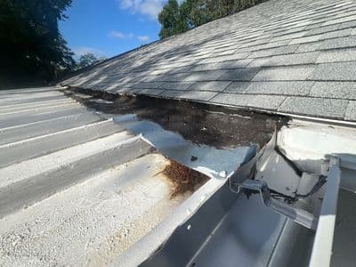 Seamless aluminum gutter install in Temple Terrace, FL — May 2026