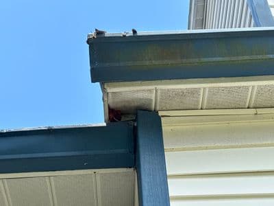 Seamless aluminum gutter install in Temple Terrace, FL — Jul 2025